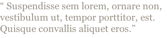 “ Suspendisse sem lorem, ornare non, vestibulum ut, tempor porttitor, est. Quisque convallis aliquet eros.”